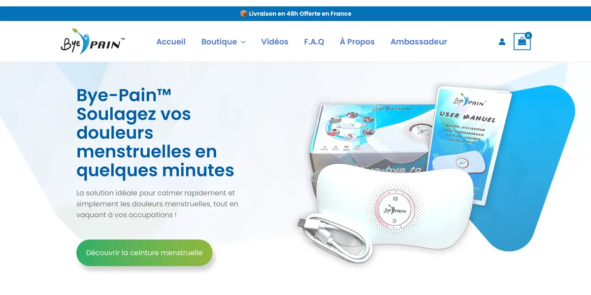 Capture du site Bye Pain